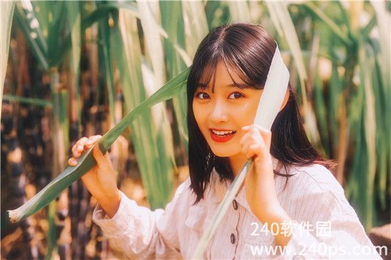 草莓香蕉榴莲丝瓜秋葵番茄视频截图2