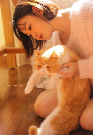 天堂岛WWW最新版中文资源免费版下载截图1