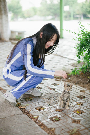 野花视频看片截图4