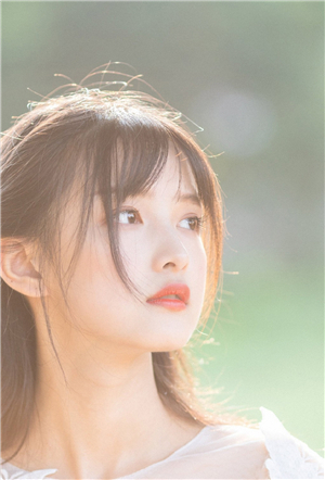 丝瓜草莓秋葵草莓丝瓜向日葵截图1