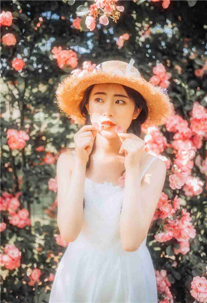 旧版草莓丝瓜向日葵黄瓜榴莲污下载解锁版截图4