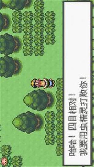 口袋妖怪极光石版截图1