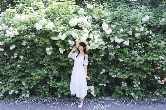 大菠萝福建导航引导入口大全截图3