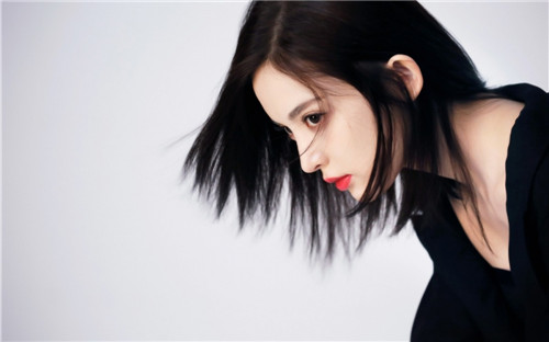 千层浪聚合优享版下载截图1