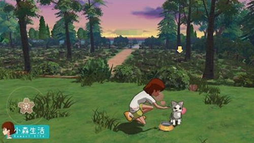 小森生活怎么制作专属猫粮 小森生活专属猫粮制作教程