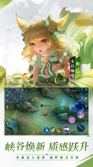 王者荣耀单机全皮肤破解版截图5