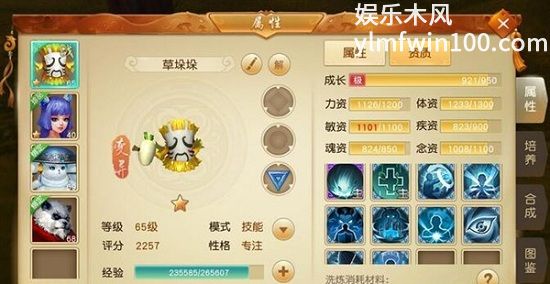 天下手游中宠物系统怎么样-天下手游中宠物系统介绍