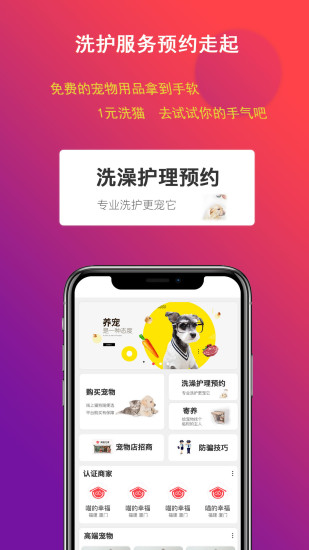 淘宠网官方版截图2