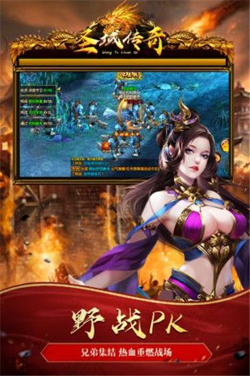 圣域传奇安卓版截图3