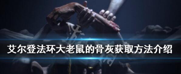 艾尔登法环大老鼠的骨灰怎么得 大老鼠的骨灰获得方法介绍