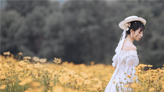 野花社区在线观看高清截图2