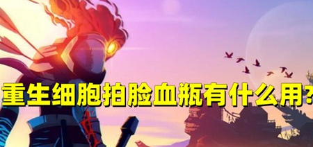 重生细胞拍脸血瓶有什么用 拍脸血瓶的作用以及使用方法