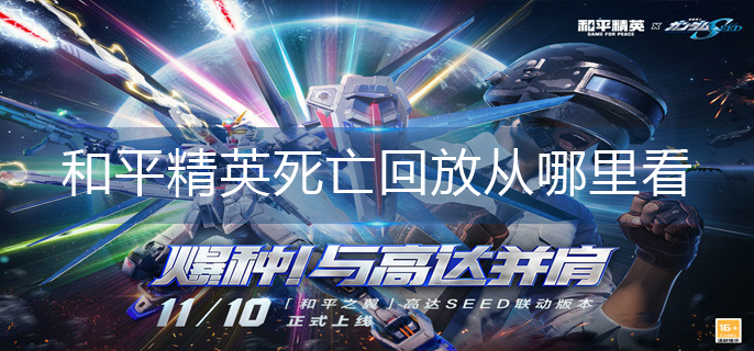 和平精英死亡回放从哪里看-和平精英死亡回放位置分享