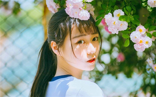 草莓樱桃芭乐丝瓜秋葵:草莓樱桃芭乐丝瓜秋葵下载地址