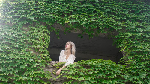 草莓视频APP安卓软件截图2