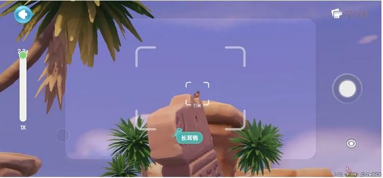 心动小镇长耳鸮观鸟要注意什么 心动小镇长耳鸮观鸟注意要点