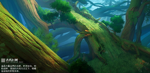 晶核青珀采集点-晶核青珀在那采集