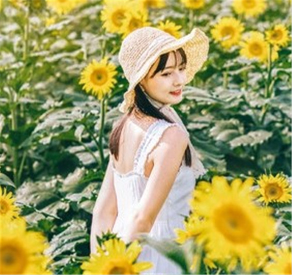 菠萝菠萝蜜免费视频BD高清截图1