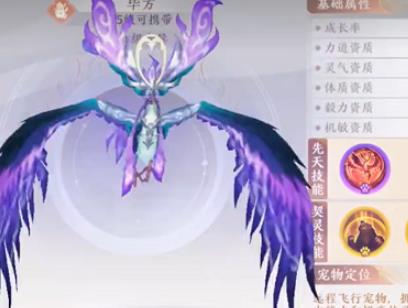 天龙八部2飞龙战天毕方技能怎么选择 天龙八部2飞龙战天毕方技能选择攻略