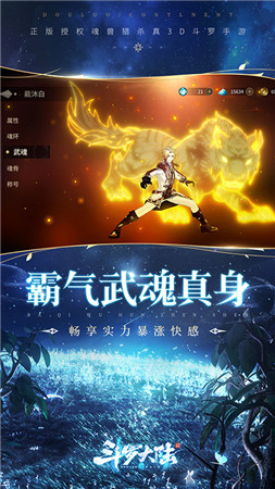 斗罗大陆斗神再临精简版无限钻石截图5